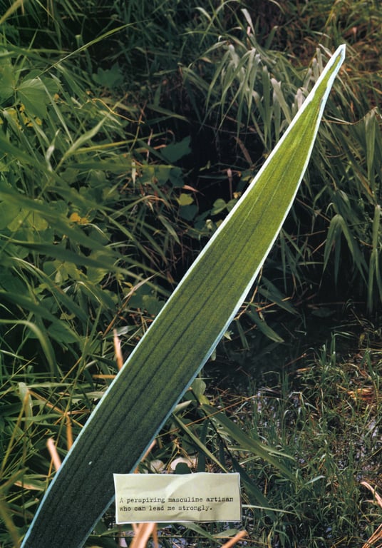 图片[86]-#(月刊シリーズ 072) – 月刊072 浅见丽娜 - 全本免费在线观看-阅图吧