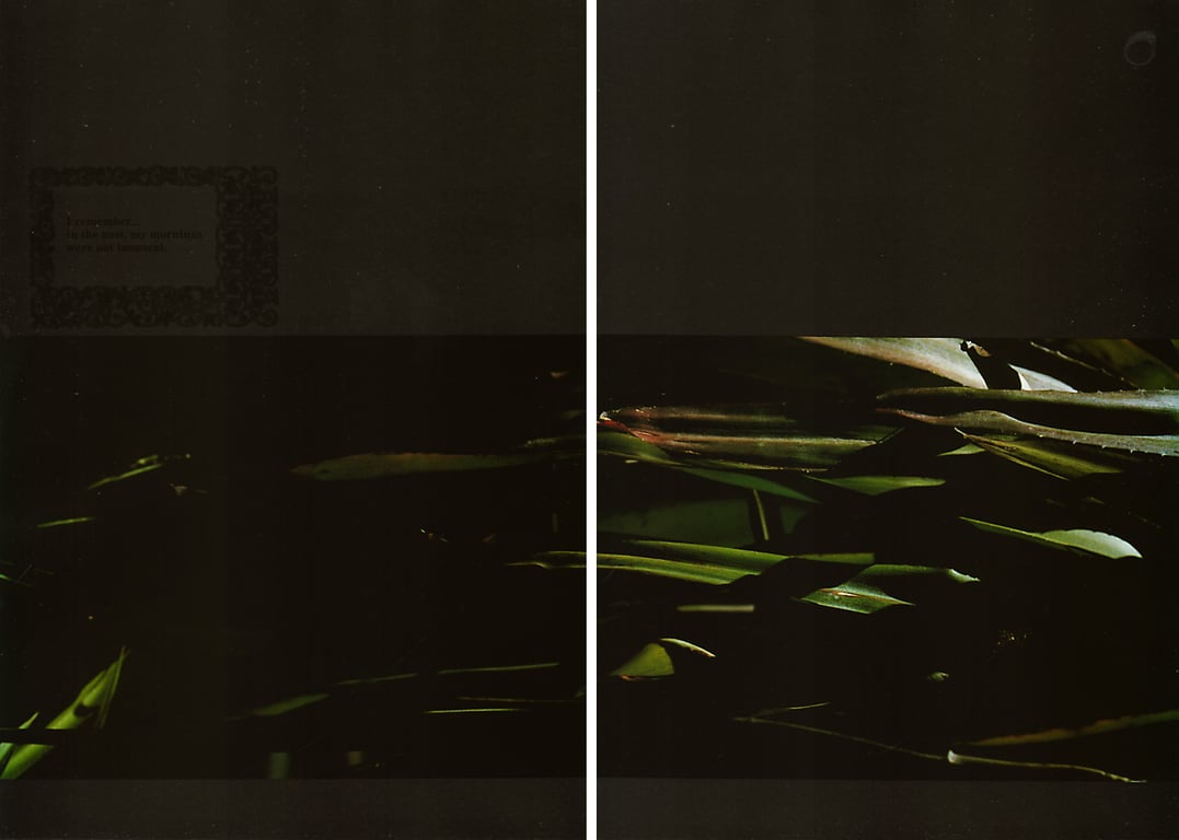 图片[77]-#(月刊系列 040) – 月刊040 安达祐实Special - 全本免费在线观看-阅图吧