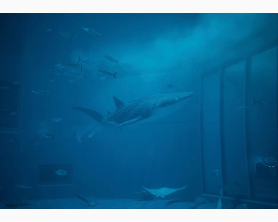 图片[129]-うたたね翠と一泊二日の沖縄旅行へ行ってきました (wunder publishing house) - 在线免费观看-阅图吧