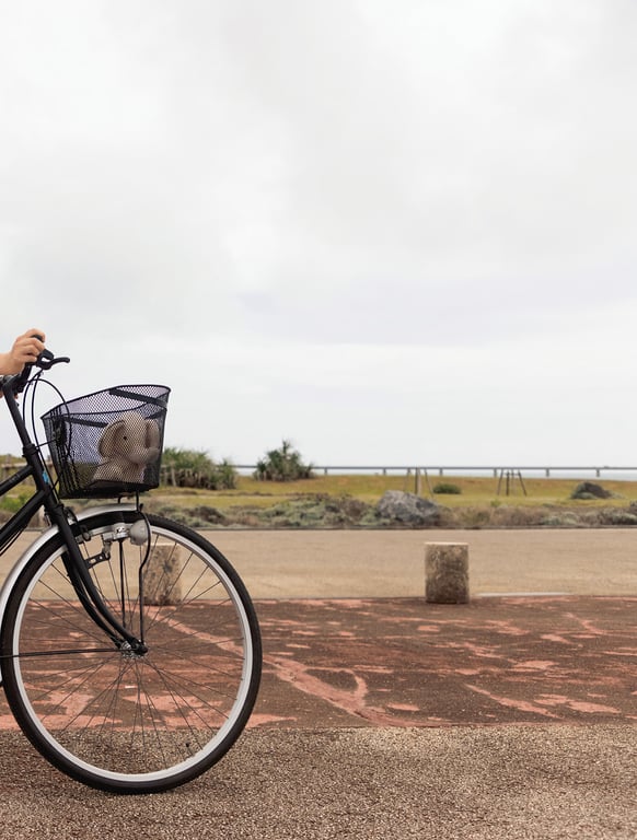 图片[63]-#戸田真琴出道5周年纪念写真集 真实的谎言 アサ芸SEXY女优写真集(2021-07-30) - 全本免费在线观看-阅图吧