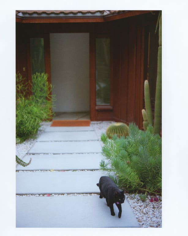 图片[58]-#白石麻衣写真集 护照 乃木坂46毕业纪念 限定封面版【Amazon.co.jp限定明信片付】 - 全本免费在线观看-阅图吧