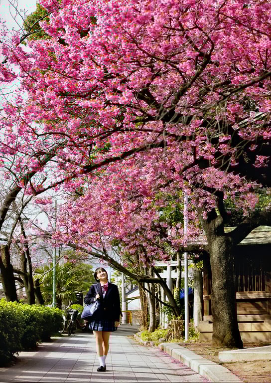 图片[4]-#Musubu Funaki 船木结 – Conclusion -KESSYO- 结章－KESSYO－ (2020-05-01) - 全本免费在线观看-阅图吧