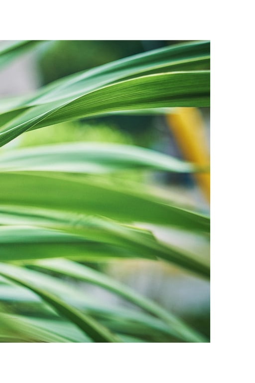 图片[86]-#Yui Furukawa 古河由衣 – Enchanted… 魅惑… (2023-01-27) - 全本免费在线观看-阅图吧