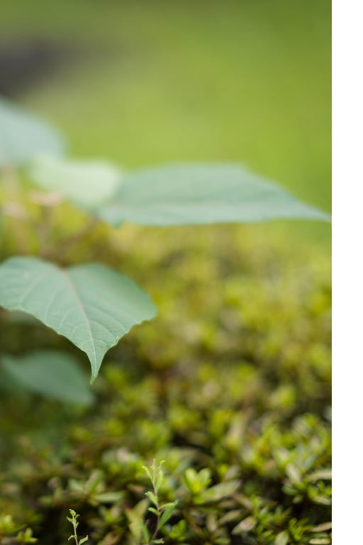 图片[58]-妃ひかり 开放式淋浴写真集 光照射的方向 - 在线免费观看-阅图吧