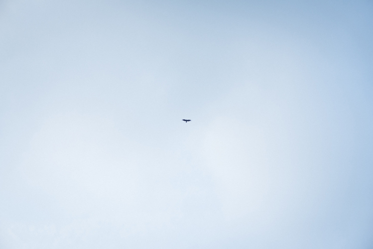 图片[96]-Ryoha Kitagawa 北川绫巴 - Driving Date with Girlfriend SKE48 与恋人的兜风约会 - 在线免费观看-阅图吧