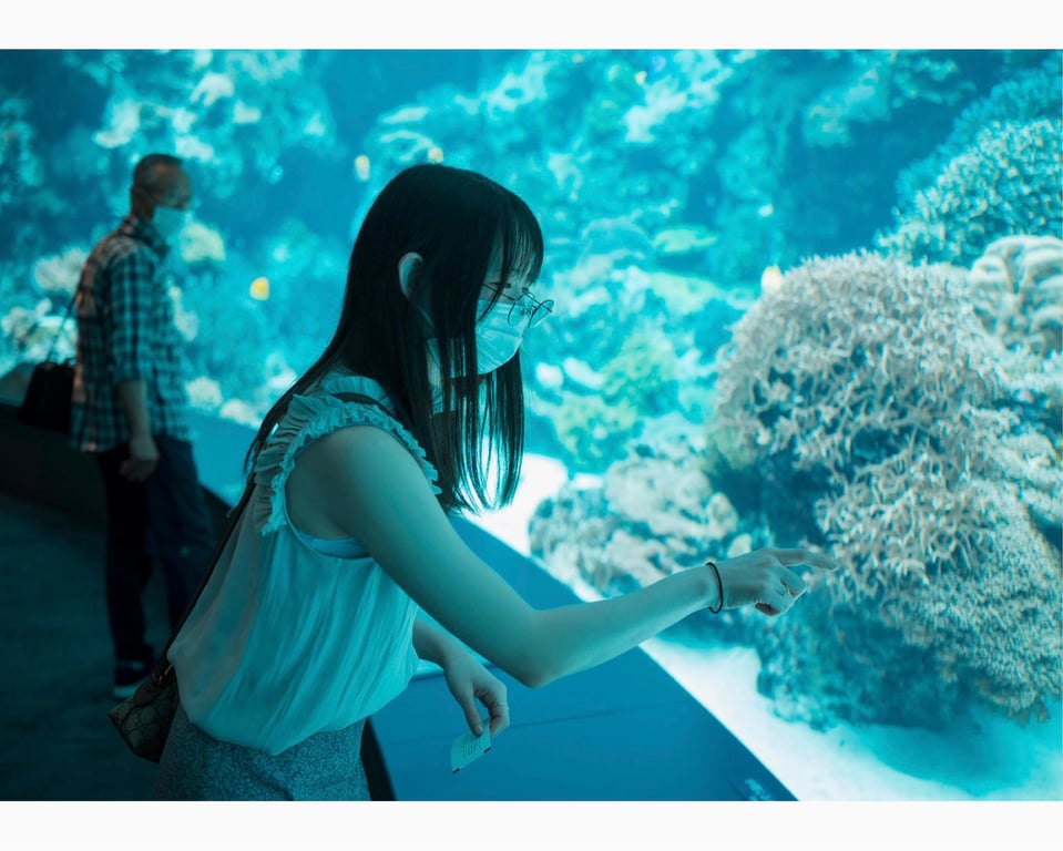 图片[127]-うたたね翠と一泊二日の沖縄旅行へ行ってきました (wunder publishing house) - 在线免费观看-阅图吧