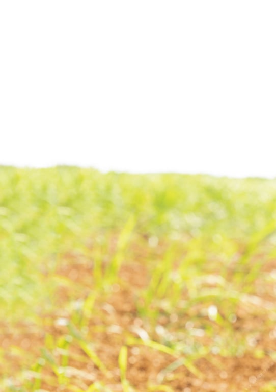 图片[87]-#朝田ひまり ファースト写真集 「Sunny Spot」 - 全本免费在线观看-阅图吧