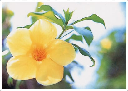 图片[82]-#三津谷葉子 – 思春期 - 全本免费在线观看-阅图吧