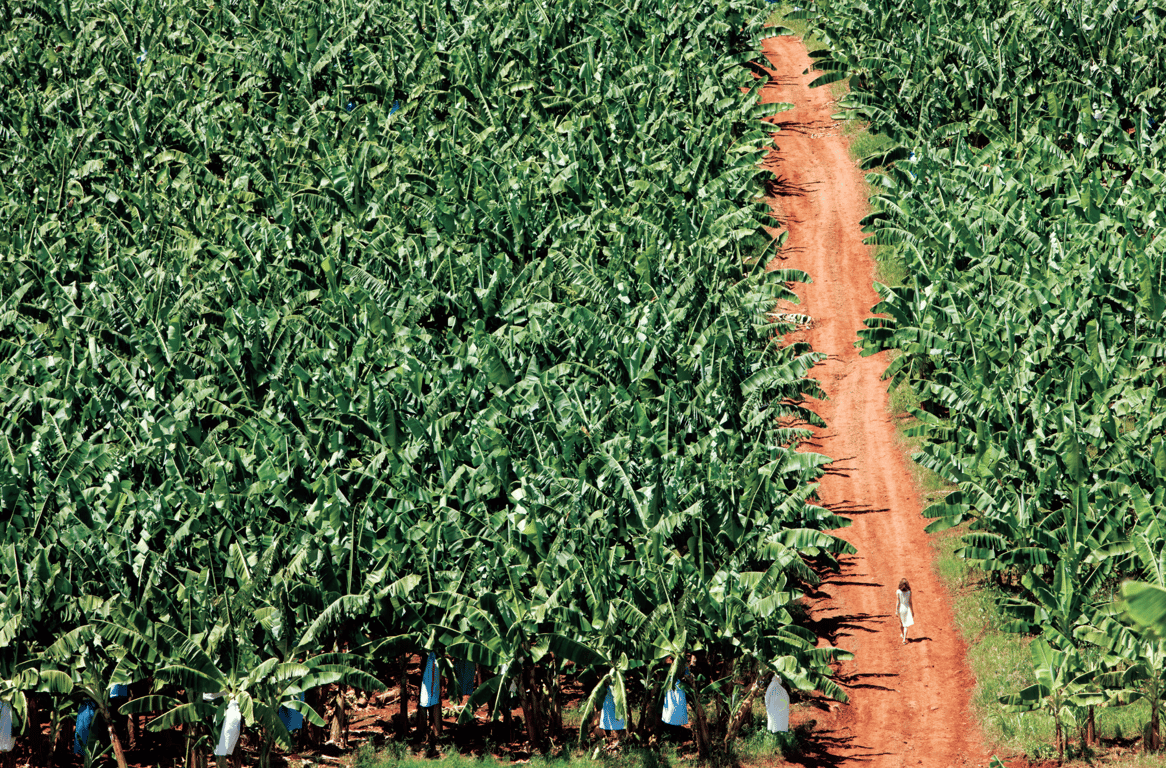 图片[17]-#西本遥 写真集「SHAPE」 - 全本免费在线观看-阅图吧