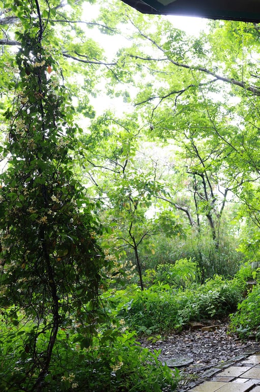 图片[3]-#Ran Kamiki 神木兰 – AI LOVE DOLL (2022-07-22) - 全本免费在线观看-阅图吧