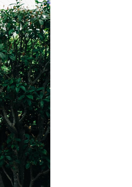 图片[193]-##もも日常 大河桃日常写真集 (wunder_publishing_house.) - 全本免费在线观看-阅图吧