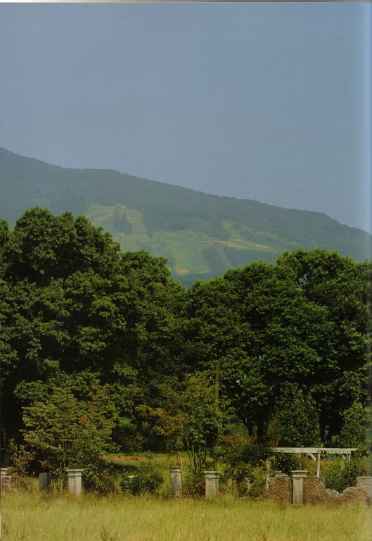 图片[108]-#Maki Horikita 堀北真希 – Cinematic () (130P) - 全本免费在线观看-阅图吧