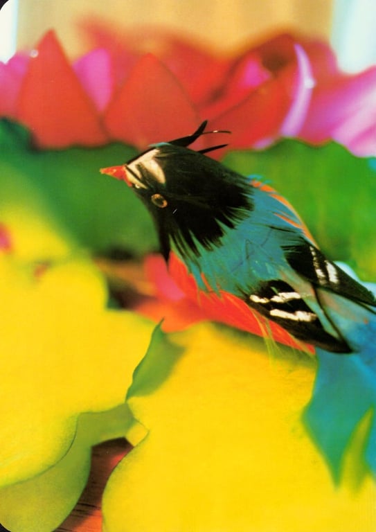 图片[68]-#(月刊シリーズ 043) – 月刊043 遠藤久美子 - 全本免费在线观看-阅图吧