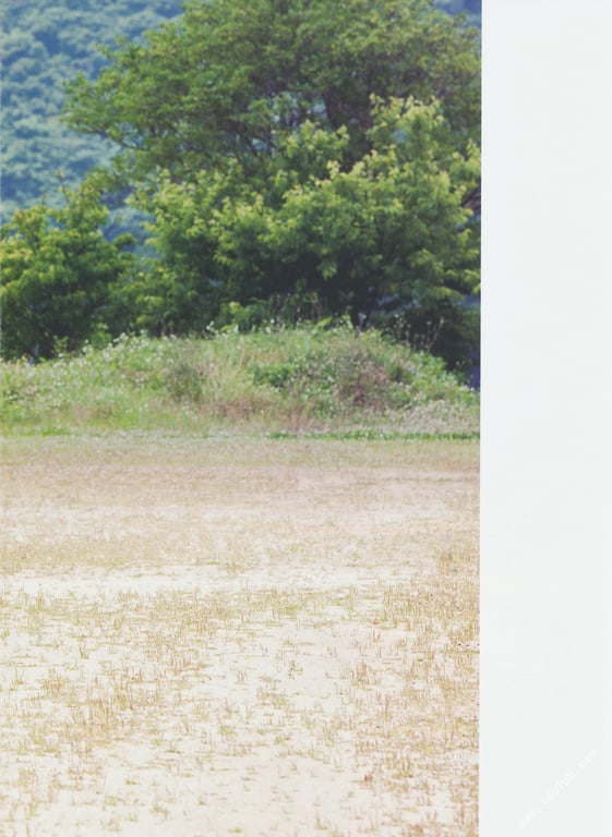 图片[6]-#武井咲 写真集 PLUMERIA - 全本免费在线观看-阅图吧