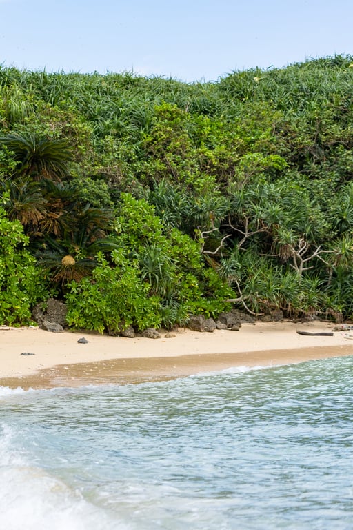 图片[4]-#Remu Suzumori 凉森玲梦 – In a transparent world 在通透的世界中 (2021-11-19) - 全本免费在线观看-阅图吧