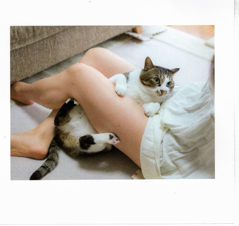 图片[47]-#青山裕企 Photobook 26sets\【青山裕企】猫与大腿 - 全本免费在线观看-阅图吧