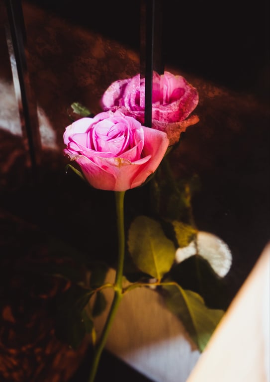 图片[43]-#Yui Tsuji 辻优衣 – Living in Oita Prefecture, Nobishiro Girl 大分县在住、潜力女孩。 (2022-10-10) - 全本免费在线观看-阅图吧