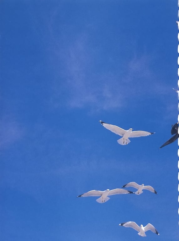 图片[112]-#佐藤宽子 – Peek a Boo! (ringo_scan) - 全本免费在线观看-阅图吧