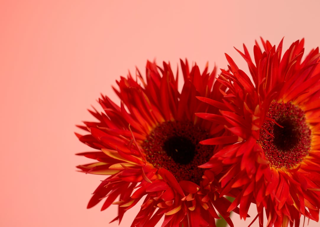 图片[121]-#2022.06.10 AV最高峰 S級GIRLS GROUP S1キャンペーン No.1 Photo Book S級版 - 全本免费在线观看-阅图吧