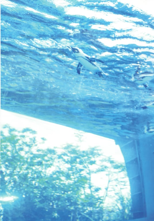 图片[12]-#Saito Kyoko 1st Photobook - 全本免费在线观看-阅图吧