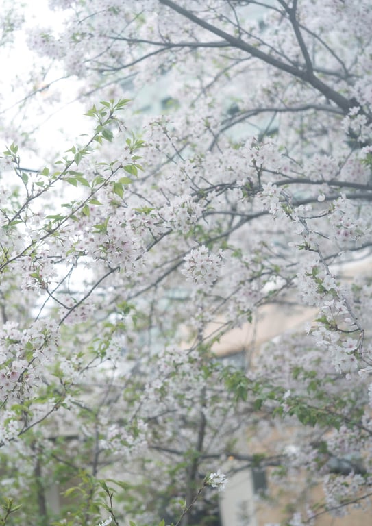 图片[30]-#BUBKA数字写真集 2025.06.20 北野瑠华「Mirage」 - 全本免费在线观看-阅图吧