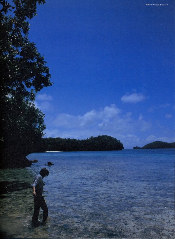 图片[58]-#夏目ナナ – NaNa! - 全本免费在线观看-阅图吧