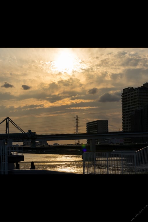 图片[76]-#めぞん夕刻～エッチな管理人～ 鈴木真夕【ヘアヌード写真集】(2021-09-03) - 全本免费在线观看-阅图吧