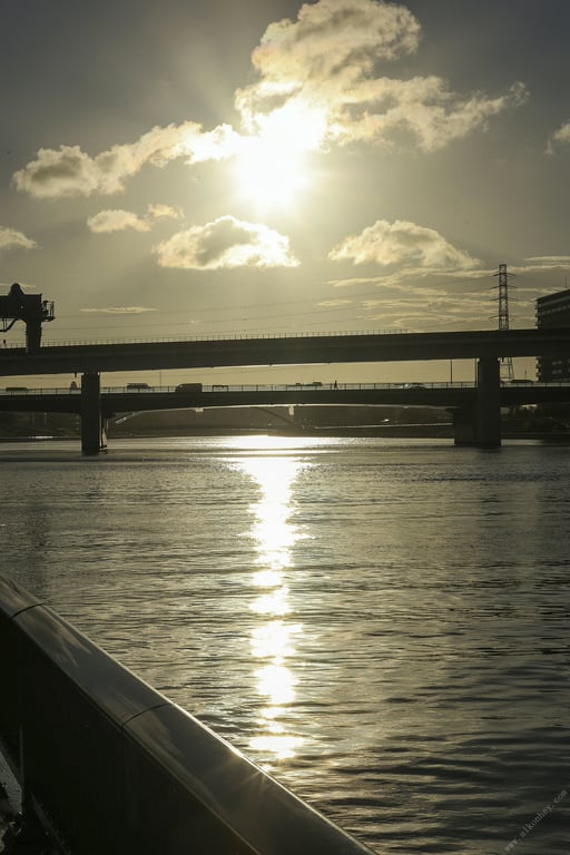 图片[60]-#めぞん今ノ刻 ～艶やかな管理人～ 真木今日子【ヌード写真集】 - 全本免费在线观看-阅图吧