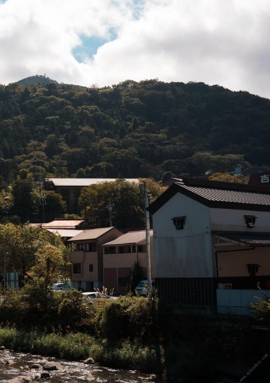 图片[60]-#極致 裸体写真集 (Wunder_Publishing_House.) - 全本免费在线观看-阅图吧