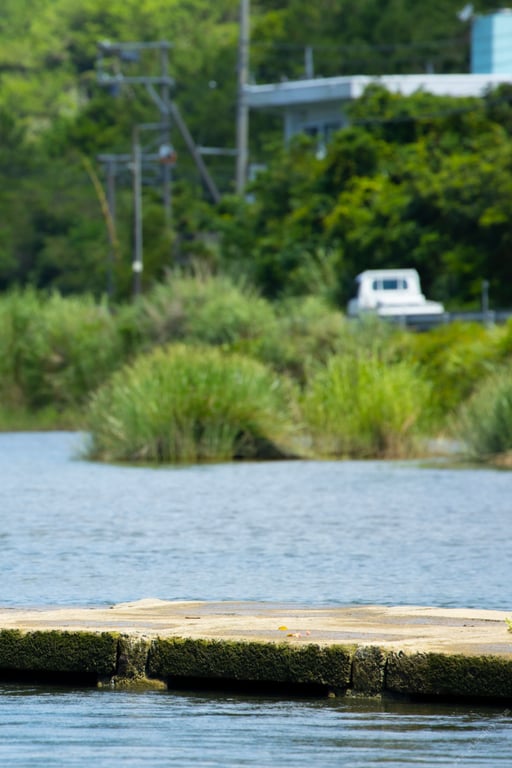 图片[152]-#Riho Fujimori 藤森里穂 Eden 伊甸 (2021.11.12) - 全本免费在线观看-阅图吧