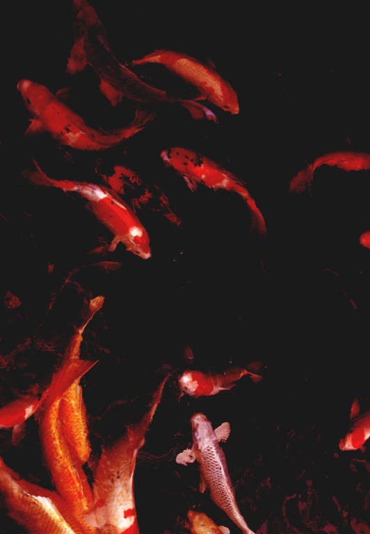 图片[115]-#(月刊シリーズ 057) – 月刊057 佐藤珠绪Special - 全本免费在线观看-阅图吧