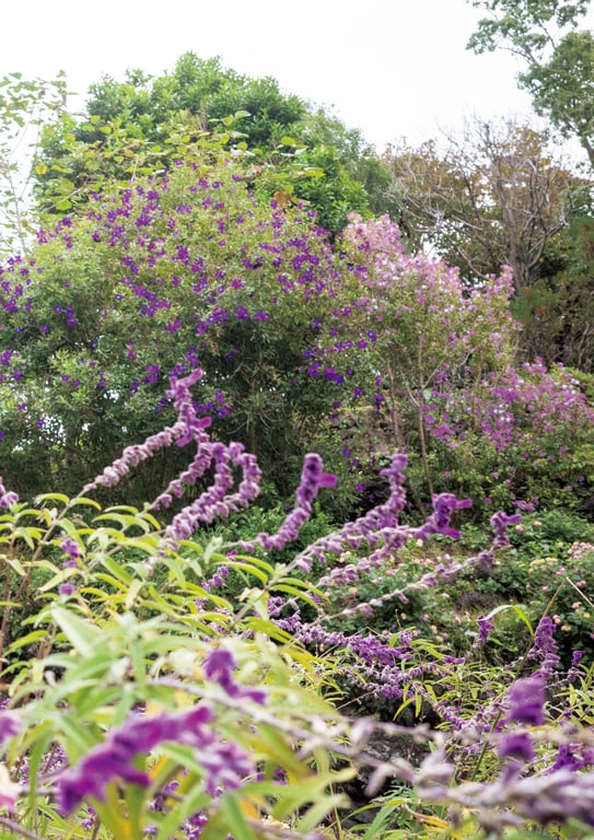 图片[13]-2024.03.20 石川澪写真集「21」 - 在线免费观看-阅图吧