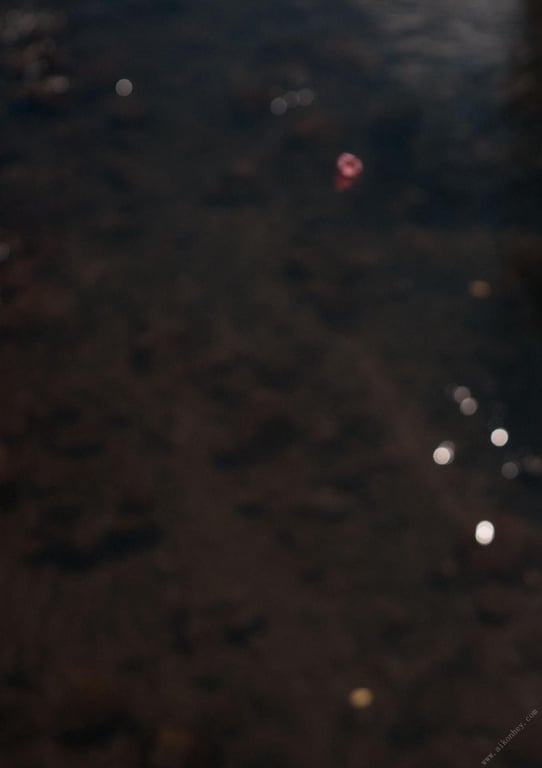 图片[57]-#極致 裸体写真集 (Wunder_Publishing_House.) - 全本免费在线观看-阅图吧