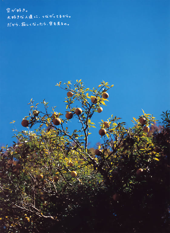 图片[6]-#伊藤瞳 – NAKED - 全本免费在线观看-阅图吧