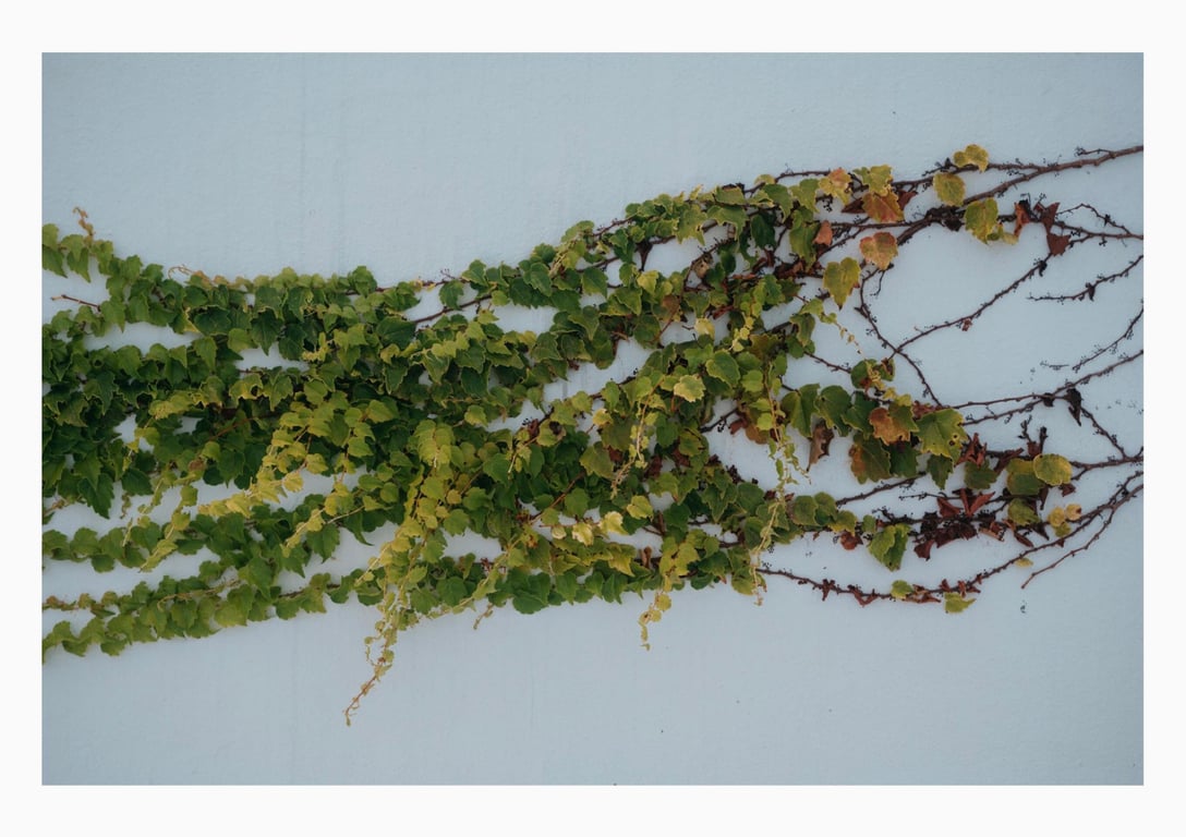 图片[117]-#天川星夏 1st e-book Pure. (Wunder Publishing House) - 全本免费在线观看-阅图吧