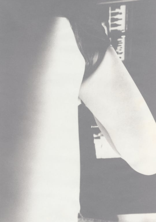 图片[69]-#(月刊シリーズ 070) – 月刊070 星野亚希 (ham scan) - 全本免费在线观看-阅图吧