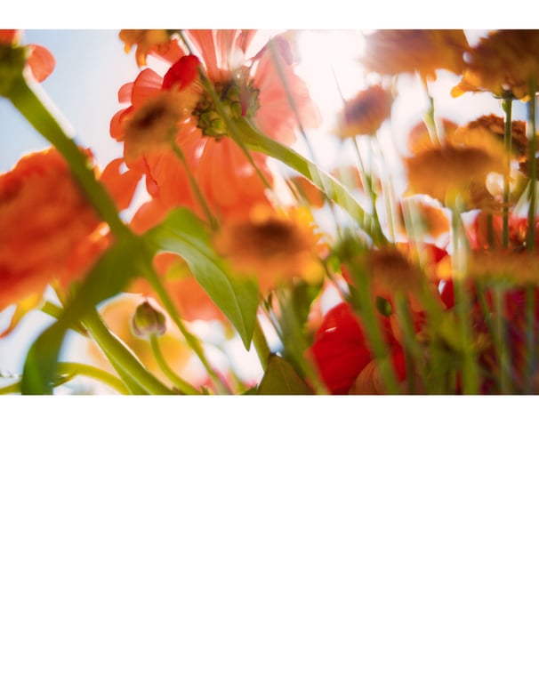 图片[99]-白石麻衣写真集「护照」 (new scan) - 在线免费观看-阅图吧