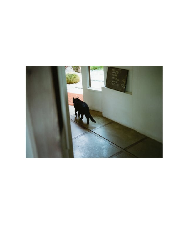 图片[61]-Mai Shiraishi 白石麻衣 - Passport 护照 (3rd scan) - 在线免费观看-阅图吧