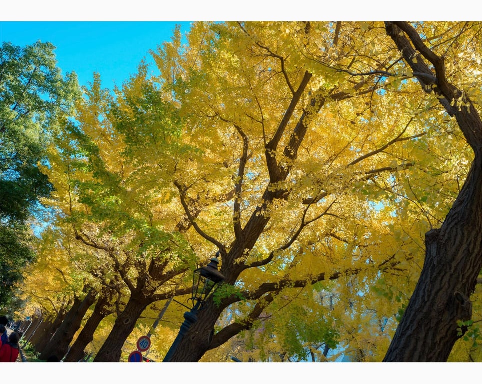 图片[22]-#花宮いのり INORI 1st e-book - 全本免费在线观看-阅图吧