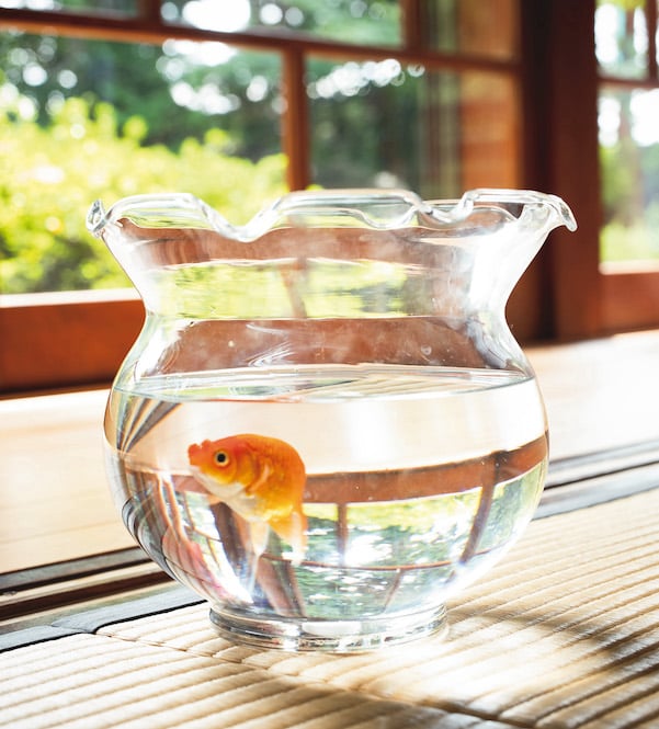 图片[12]-グラビア文学館 第三回 相楽伊織 蜜の哀れ - 在线免费观看-阅图吧