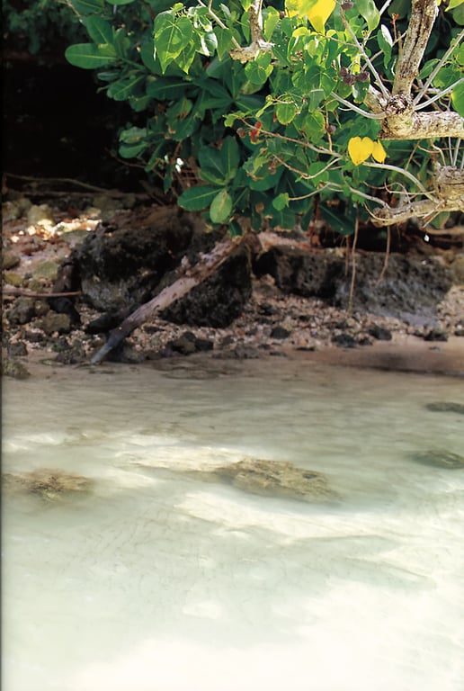 图片[24]-#Aya Hirayama 平山彩 – Aya Mizu Young Magazine Special Editing 彩水 ヤングマガジン特別編集 - 全本免费在线观看-阅图吧