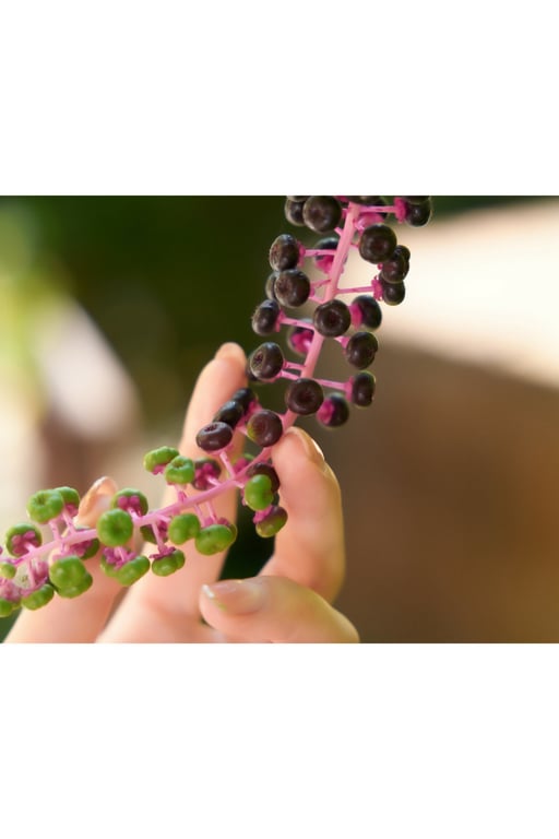 图片[9]-#Iori 七瀬伊織【裸体写真集】 ペーパーバック - 全本免费在线观看-阅图吧