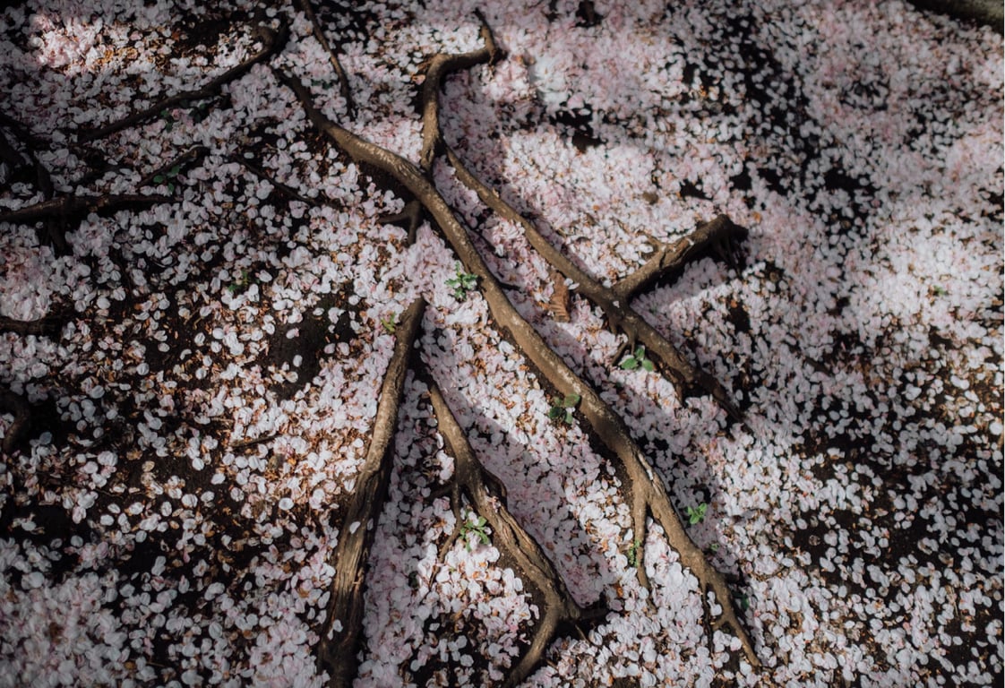 图片[57]-#七森莉莉 デジタル写真集 とられち - 全本免费在线观看-阅图吧