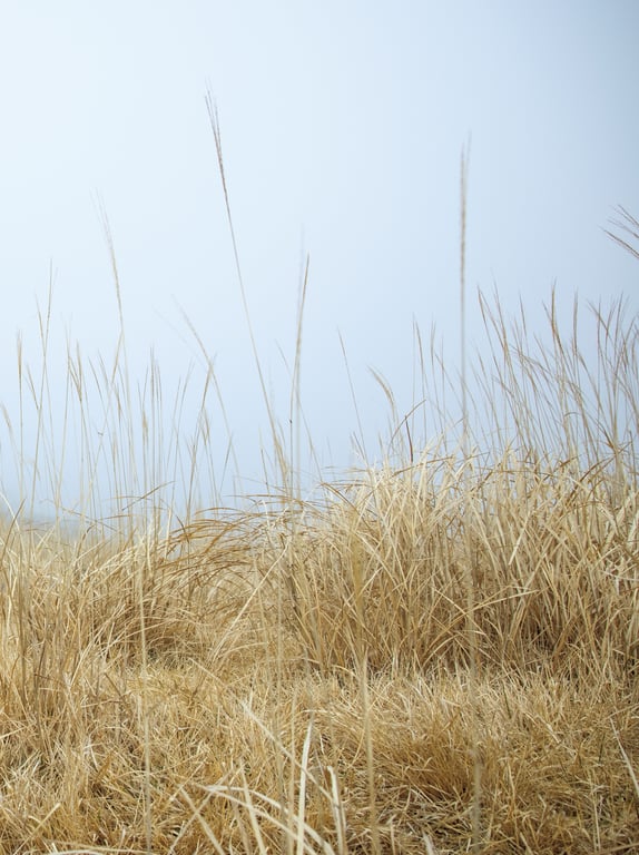 图片[56]-#【電子版だけの特典カット付き】街山美穗写真集『Phantom』 - 全本免费在线观看-阅图吧