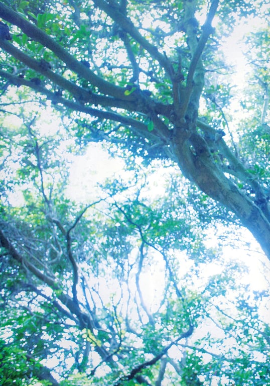 图片[101]-#宮脇咲良ファースト写真集 さくら - 全本免费在线观看-阅图吧