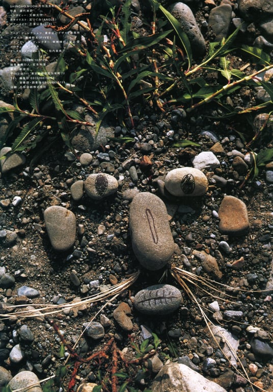 图片[14]-#(月刊シリーズ 072) – 月刊072 浅见丽娜 - 全本免费在线观看-阅图吧