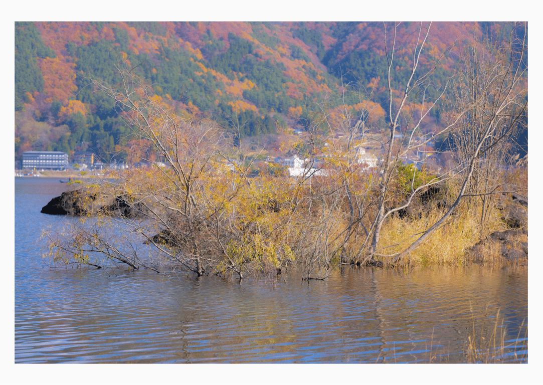 图片[5]-#冨永ほのか 重逢，再续。PRESTIGE PHOTOGENICS - 全本免费在线观看-阅图吧