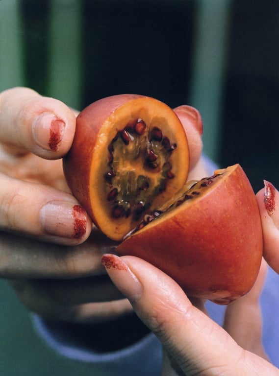 图片[8]-#杉本有美 ファースト写真集 うち LQ - 全本免费在线观看-阅图吧