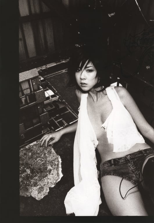 图片[30]-#(月刊シリーズ 070) – 月刊070 星野亚希 (ham scan) - 全本免费在线观看-阅图吧