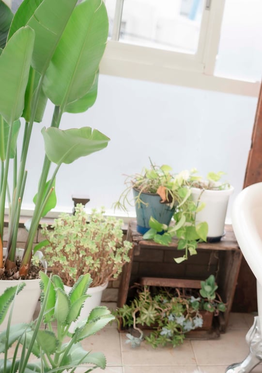 图片[15]-#Saika Kawakita 河北彩花 Count sheep (2021.08.30) - 全本免费在线观看-阅图吧